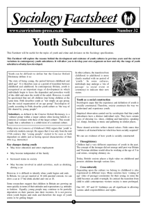 Youth Subcultures - The Ecclesbourne School Online