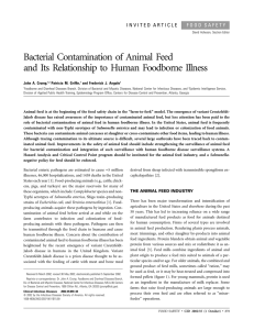Bacterial Contamination of Animal Feed and Its Relationship to