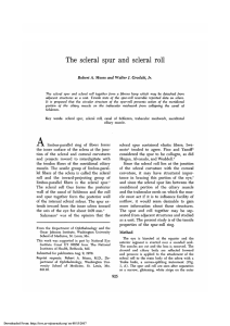 The scleral spur and scleral roll.