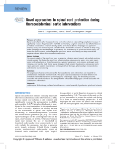 Novel approaches to spinal cord protection during