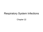 Respiratory System Infections