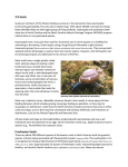 3.9 Snails Freshwater Snails - North Carolina Wildlife Resources