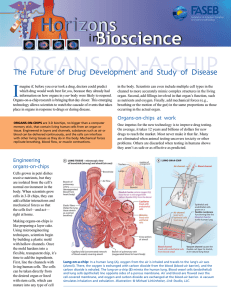 organs-on-a-chip - Federation of American Societies for