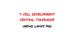 T-cell development central tolerance