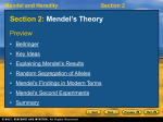 Section 2: Mendel`s Theory