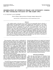 segregation of stimulus phase and intensity coding in the cochlear