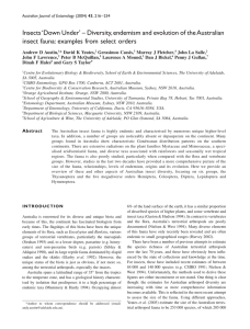 Insects `Down Under`– Diversity, endemism and evolution of the