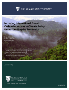 Including International Forest Carbon Incentives