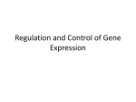 Lecture 4 – Gene Expression Control and Regulation