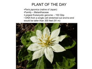 Plant Nuclear Genome Size Variation