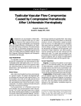 Testicular Vascular Flow Compromise Caused By