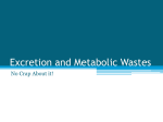 Excretion and Metabolic Wastes