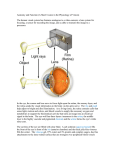 Short Course in the Physiology of Vision