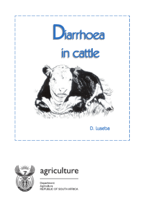 Diarrhoea in cattle
