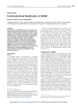 Posttranslational Modification of MDM2