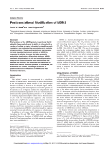 Posttranslational Modification of MDM2