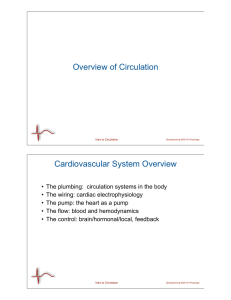 Overview of Circulation Cardiovascular System Overview