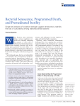 Bacterial Senescence, Programmed Death, and Premeditated Sterility