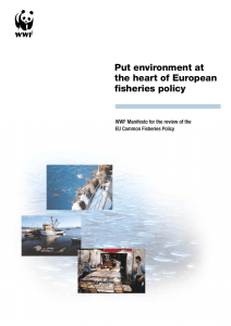 Put environment at the heart of European fisheries policy