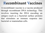Recombinant Vaccine