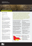 Serrated Tussock - Victorian Serrated Tussock Working Party