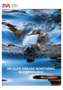 Wildlife Disease Monitoring in Sweden 2014