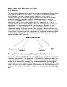 Human Corona Virus