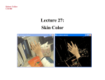 Lecture 27: Skin Color