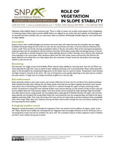 role of vegetation in slope stability