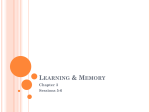 Ch 3 Learning and Memory