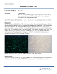 NIH3T3/GFP Cell Line