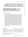 Investigation of distal aortic compliance and