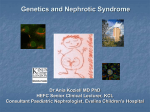 Genetics and Nephrotic Syndrome