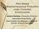 Plant-Based Biopharmaceutical Production under Controlled