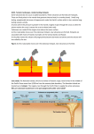 Tectonic landscapes- Understanding hotspots