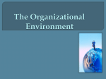 The Organizational Environment