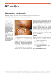Blisters Over the Buttocks - American Academy of Family Physicians