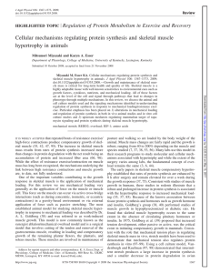 Cellular mechanisms regulating protein synthesis and skeletal
