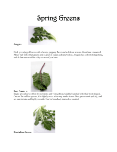 Spring Greens - Sierra Wellness Nutrition