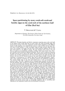 Space partitioning by stony corals soft corals and benthic algae on