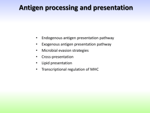 17_MHC antigen processing and presentation(EN)GPv2.32