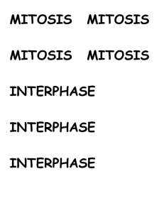 mitosis card game - Biology Junction