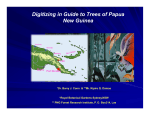 Guide to trees of Papua New Guinea