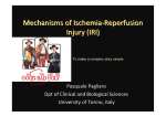 Mechanisms of Ischemia-Reperfusion Injury (IRI)