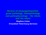 Review of cholangiohepatitis: gross pathology, histopathology and