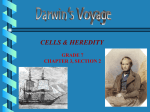 Darwin`s Voyage