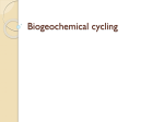 Biogeochemical cycling
