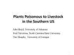 Plants Poisonous to Livestock in the Southern US