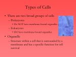 Types of Cells - Wando High School