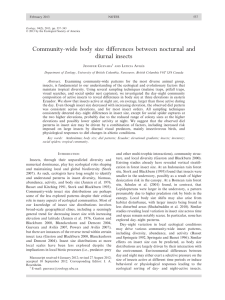 Community-wide body size differences between nocturnal and